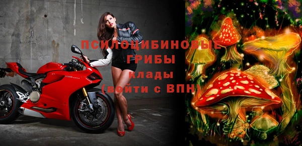 дурь Кулебаки