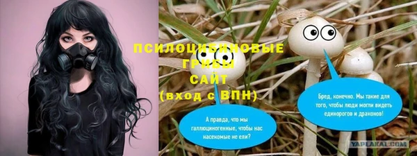 дурь Кулебаки